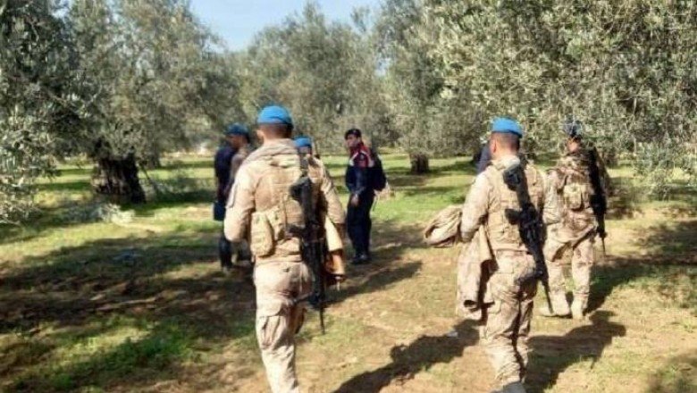 ‘Göz hakkı’ diyerek zeytin hırsızlığı yapanlara karşı komando koruması - TELE1 TV