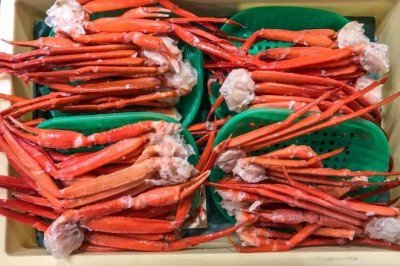 Japonyadaki kar yengecine rekor fiyat: 427 bin liraya satıldı