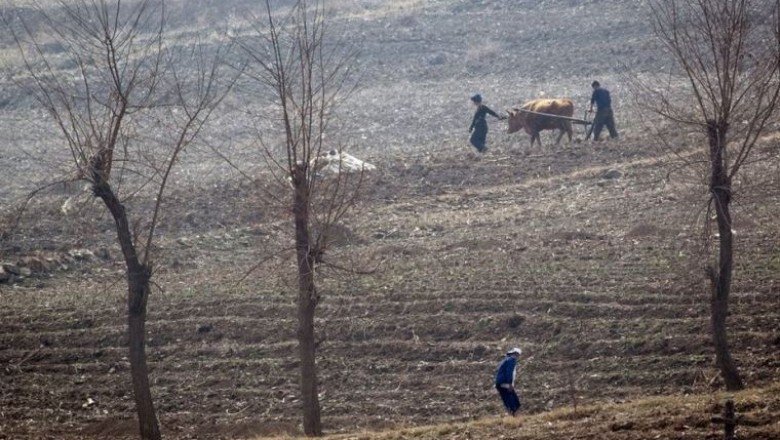 Kuzey Kore’de 'birçok insan kış aylarında açlıktan ölebilir'