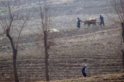 Kuzey Kore’de 'birçok insan kış aylarında açlıktan ölebilir'