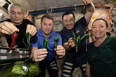 Space X'ten şoke eden haber! Tuvaleti bozulan mekikte astronotlara bez bağlayın talimatı! - Hürriyet