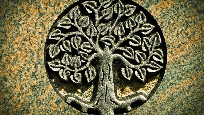 Hayat ağacı sembolü neyi ifade eder?