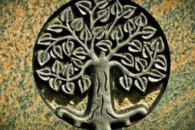 Hayat ağacı sembolü neyi ifade eder?