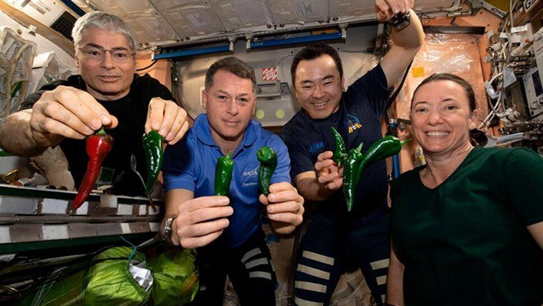 ISS'de tuvalet krizi: Astronotlar yetişkin bezi ile Dünya'ya dönecek