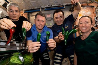 ISS'de tuvalet krizi: Astronotlar yetişkin bezi ile Dünya'ya dönecek