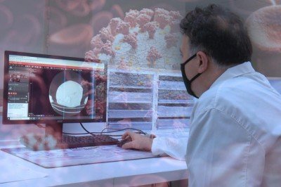 Koronavirüs vücudun kansere karşı gardını düşürüyor