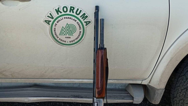 Koruma altındaki karacayı avlayan kişiye 8 bin 924 lira ceza