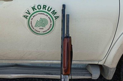 Koruma altındaki karacayı avlayan kişiye 8 bin 924 lira ceza