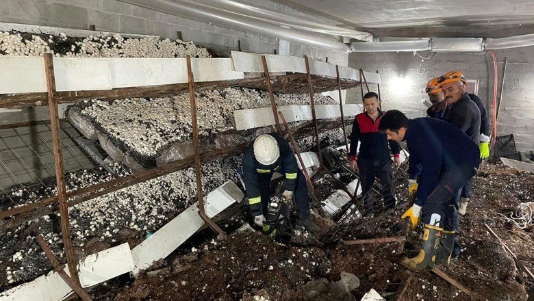 Mantar üretim tesisinde raflar devrildi: 5 yaralı