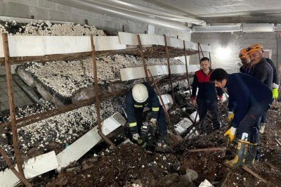 Mantar üretim tesisinde raflar devrildi: 5 yaralı