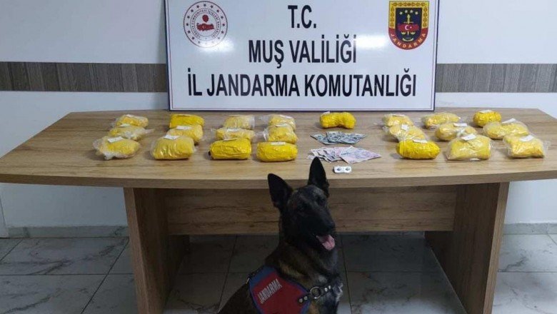 Dört ilde 634 kilogram uyuşturucu ele geçirildi