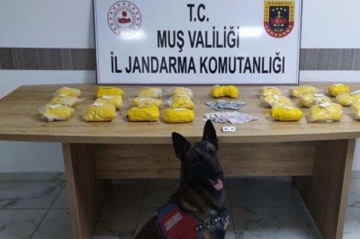 Dört ilde 634 kilogram uyuşturucu ele geçirildi
