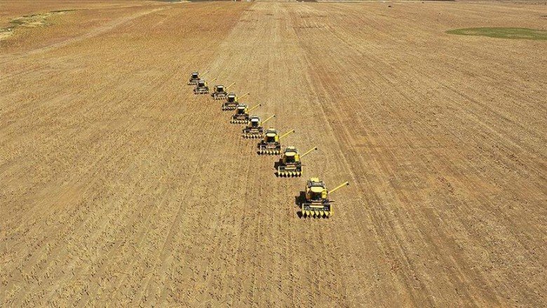 Emtia piyasasında ayrışmalar devam ediyor