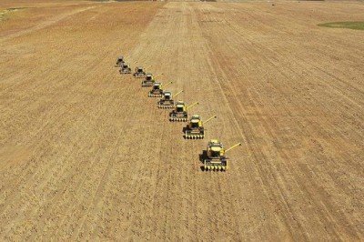 Emtia piyasasında ayrışmalar devam ediyor