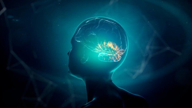 Felçli hasta beyin implantıyla düşüncelerini yazıya döktü