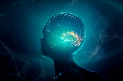 Felçli hasta beyin implantıyla düşüncelerini yazıya döktü