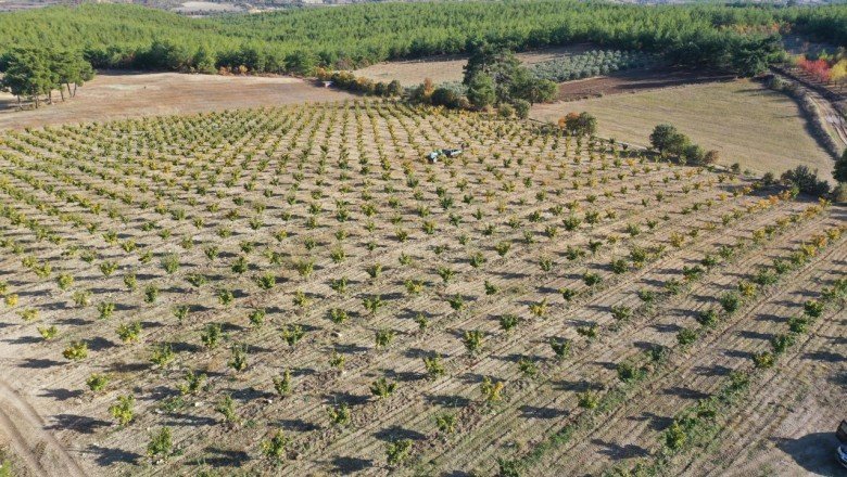 Fizik okudu, devlet desteğiyle çiftçi oldu