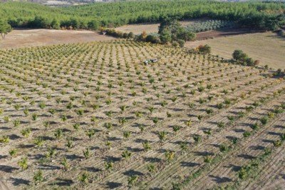 Fizik okudu, devlet desteğiyle çiftçi oldu