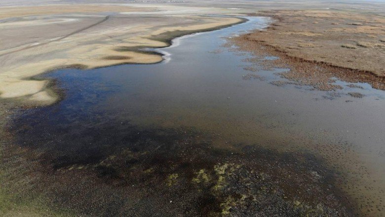 Kuraklık Doğubayazıt Sazlıkları'nı yüzde 30 küçülttü