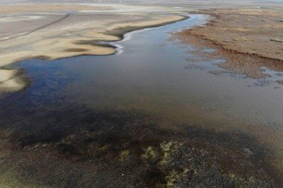 Kuraklık Doğubayazıt Sazlıkları'nı yüzde 30 küçülttü