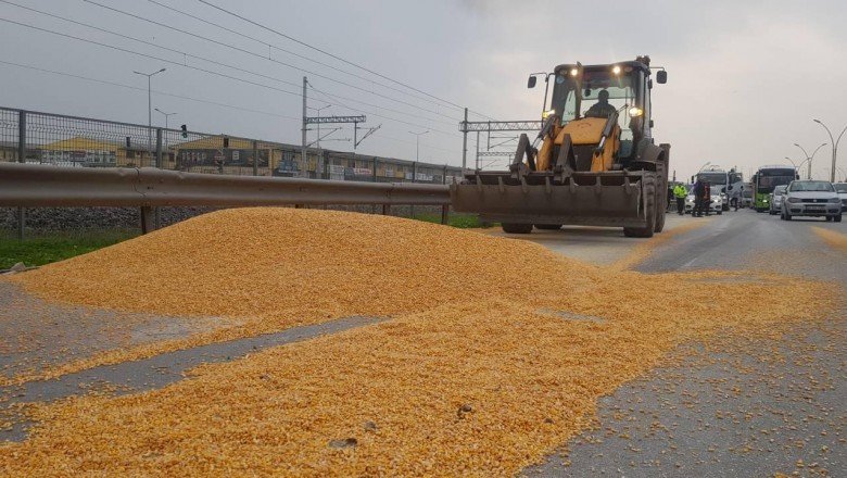 Yola dökülen mısır ulaşımı aksattı