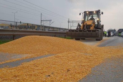Yola dökülen mısır ulaşımı aksattı