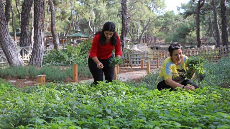 Büyükşehir'den aromatik bitkili 'Koku Bahçesi'