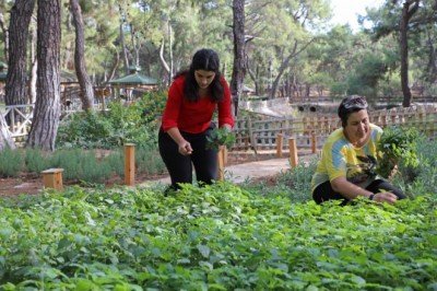 Büyükşehir'den aromatik bitkili 'Koku Bahçesi'