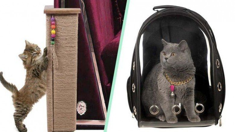 Evcil hayvan sahiplerinin hayatlarını kolaylaştıracak ürünler