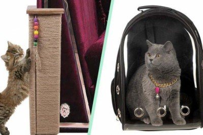 Evcil hayvan sahiplerinin hayatlarını kolaylaştıracak ürünler