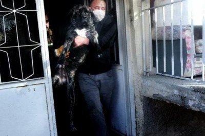 Evi yandı, köpeğini kurtarmak için dumanların arasında daldı