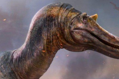 İngiltere’de yeni dinozor türleri bulundu