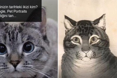Kedinizin tarihteki ikizi kim? Google, Pet Portraits ile öğren