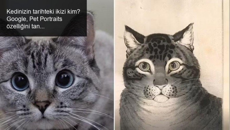 Kedinizin tarihteki ikizi kim? Google, Pet Portraits özelliğini tanıttı