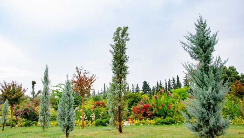 Kepez'in 'Botanik Bahçesi' kapılarını açıyor