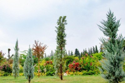 Kepez'in 'Botanik Bahçesi' kapılarını açıyor