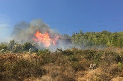 Mersin Bozyazı'da orman yangını - CNN Türk
