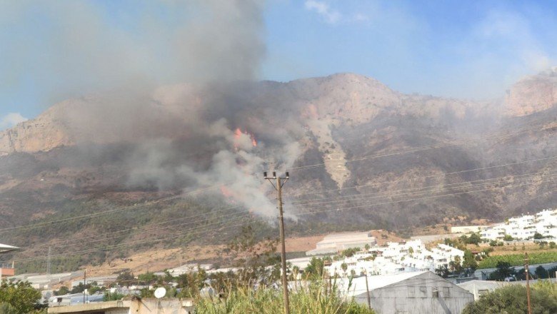 Mersin'de orman yangını