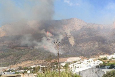 Mersin'de orman yangını