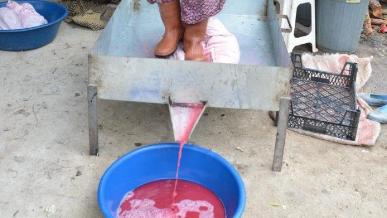 Sopalarla dövülüp, 6 saat odun ateşinde kaynatılıyor! Litresi 50 lira