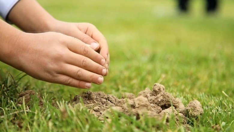 81 ilde 250 milyondan fazla fidan toprakla buluşacak