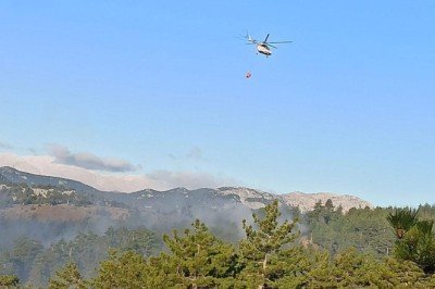 Adana'da çıkan orman yangını kontrol altına alındı