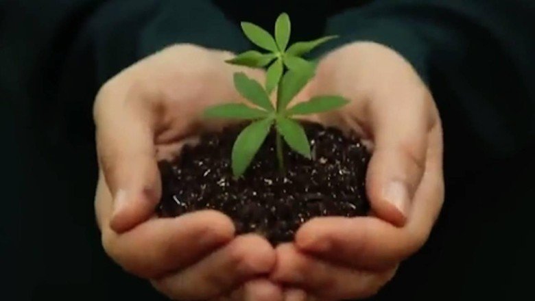 İletişim Başkanı Altun'dan Milli Ağaçlandırma Gününe özel video