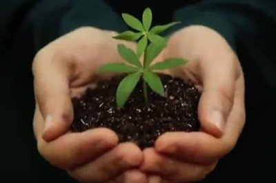 İletişim Başkanı Altun'dan Milli Ağaçlandırma Gününe özel video