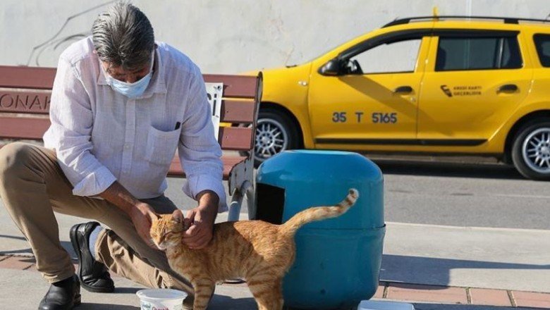İzmirli taksici 'mama kutusunda' biriken parayla sokak kedilerini besliyor