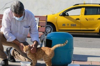 İzmirli taksici 'mama kutusunda' biriken parayla sokak kedilerini besliyor