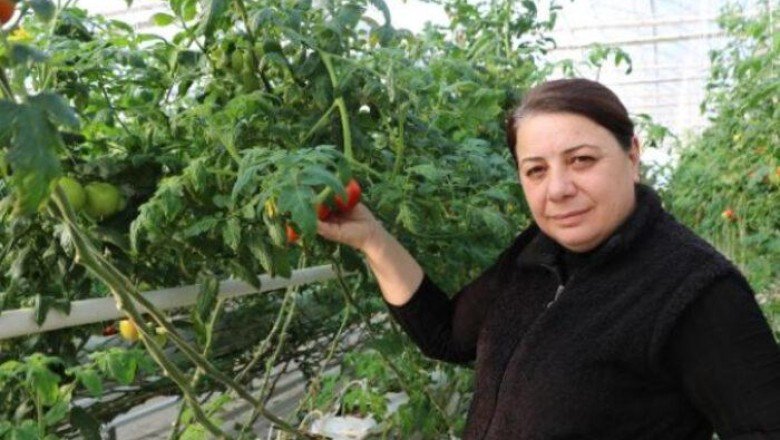 Kaplıca suyuyla büyütüyorlar! 10 ülkeye ihraç edip, 6 milyon euro gelir elde ettiler