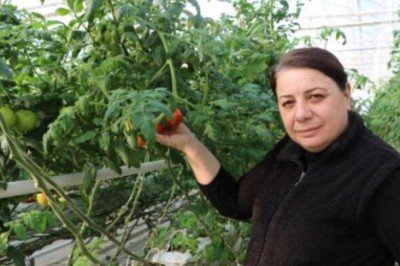 Kaplıca suyuyla büyütüyorlar! 10 ülkeye ihraç edip, 6 milyon euro gelir elde ettiler