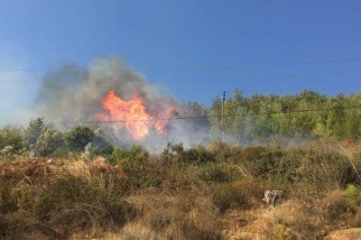 Mersin'de orman yangını kontrol altına alındı