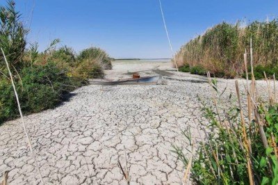 Uzmanlara göre, vahşi sulama Akşehir ve Eber göllerini yok edebilir